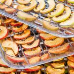 Everything You Need To Know About Food Dehydrator