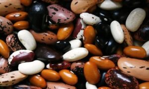 Read more about the article Will the Rising Health Consciousness Among Consumers Favor Legumes Market?