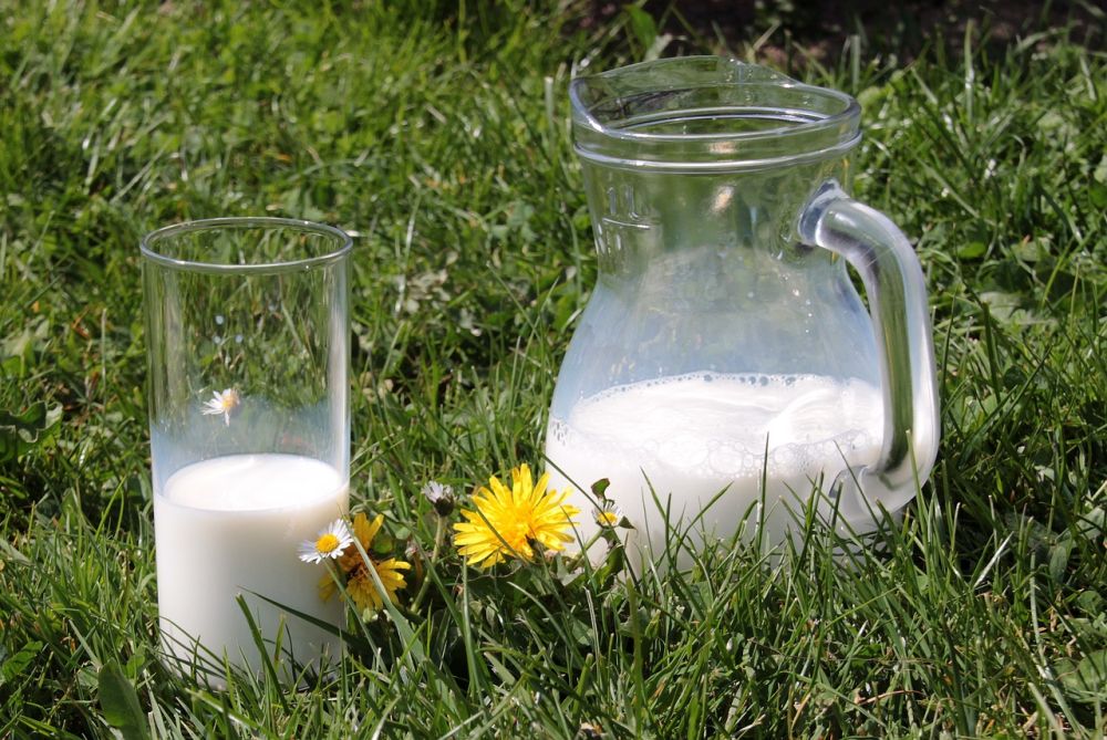 Read more about the article Top 6 Nutritional Plant-Based Milk