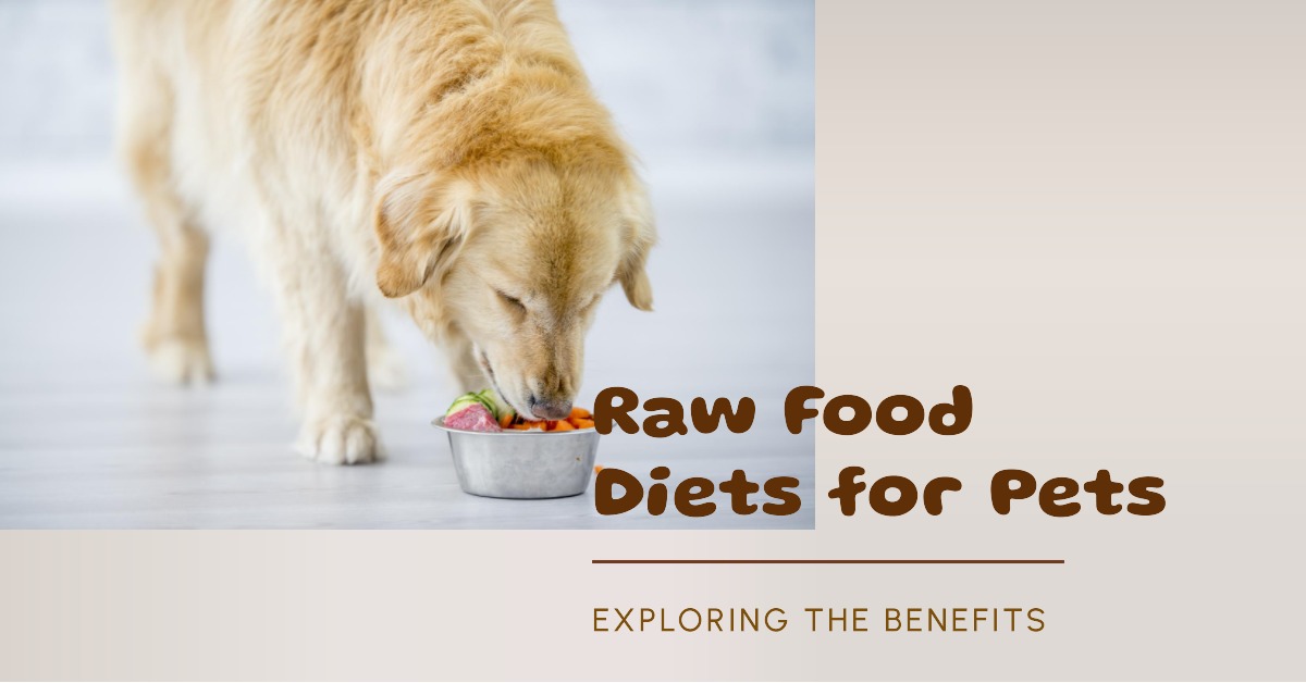 You are currently viewing Exploring the Benefits of Raw Food Diets for Pets